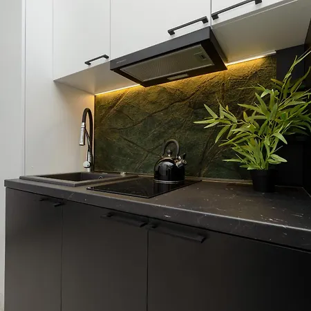 Apartment Cozy Studio Poznanska In By Renters *