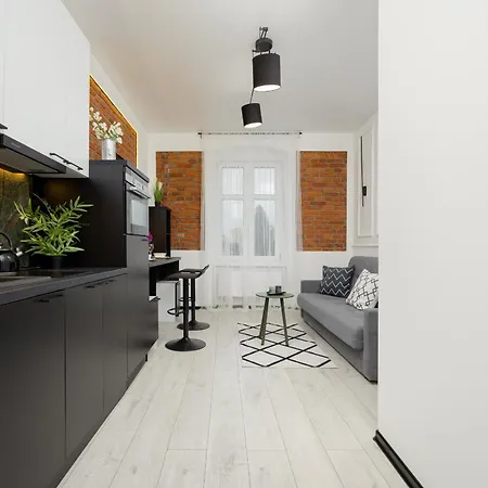 Cozy Studio Poznanska In By Renters Apartment Lodz