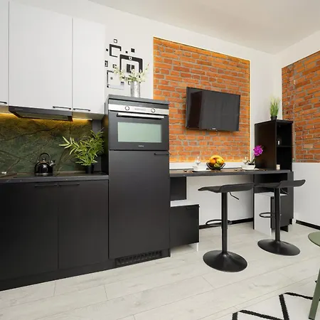 Cozy Studio Poznanska In By Renters Apartment